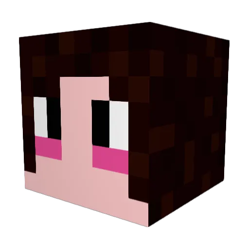 Barbarossa06 Minecraft avatar head, 3D render