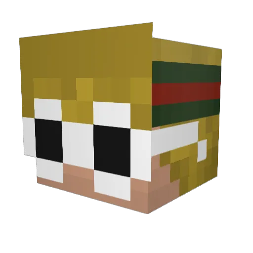 BarbecuedBoy Minecraft avatar head, 3D render