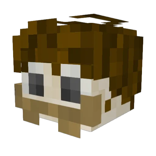 BarbecuedWaffle Minecraft avatar head, 3D render