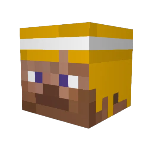 BarbedTurtle Minecraft avatar head, 3D render