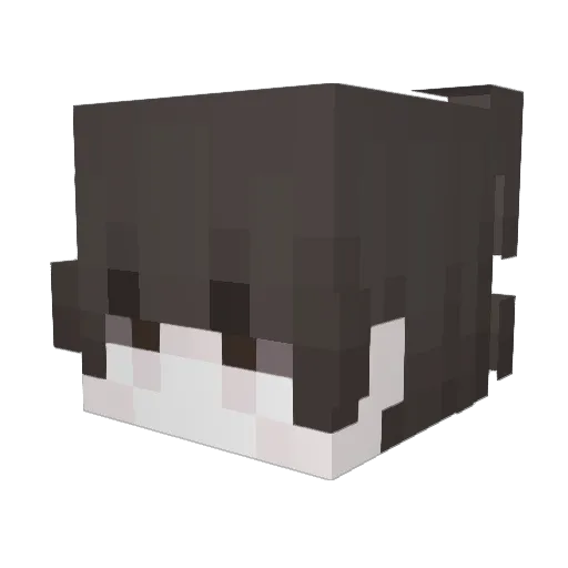 BarberiusBabyBoy Minecraft avatar head, 3D render
