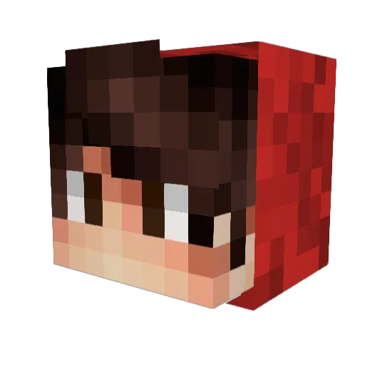 Barbi1979 Minecraft avatar head, 3D render
