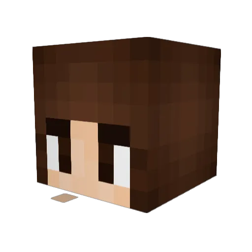 BarbieBael Minecraft avatar head, 3D render