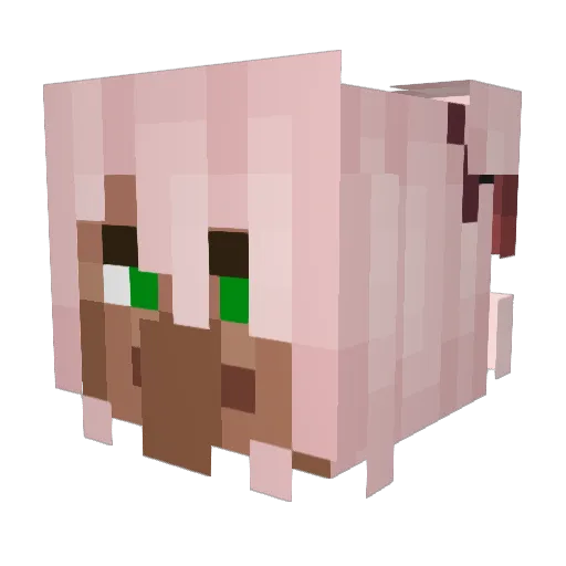 BarbieFan6524 Minecraft avatar head, 3D render