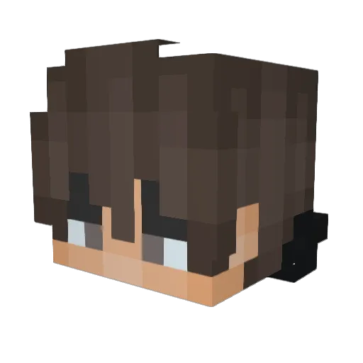 BarbieGirlFan52 Minecraft avatar head, 3D render