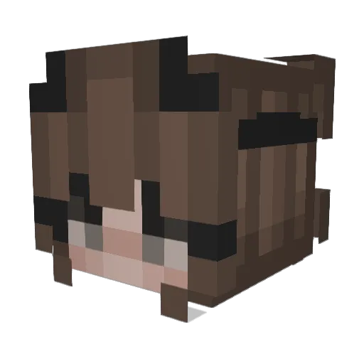 Barbora_ Minecraft avatar head, 3D render