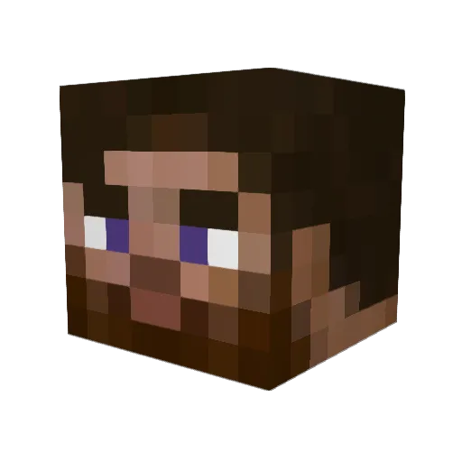 Barbosa190 Minecraft avatar head, 3D render
