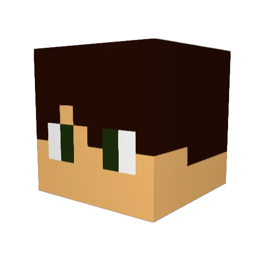 BarbosaPedroca Minecraft avatar head, 3D render