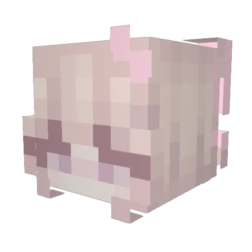 BarbyPrincess23 Minecraft avatar head, 3D render