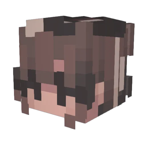 Barbycoo Minecraft avatar head, 3D render