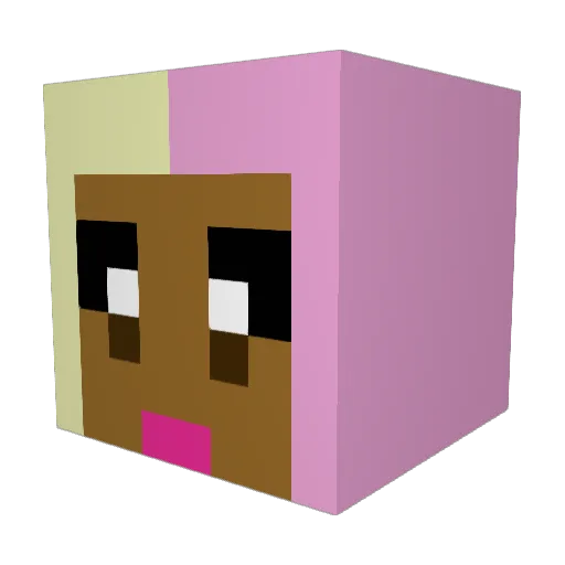 BarbzForBernie_ Minecraft avatar head, 3D render