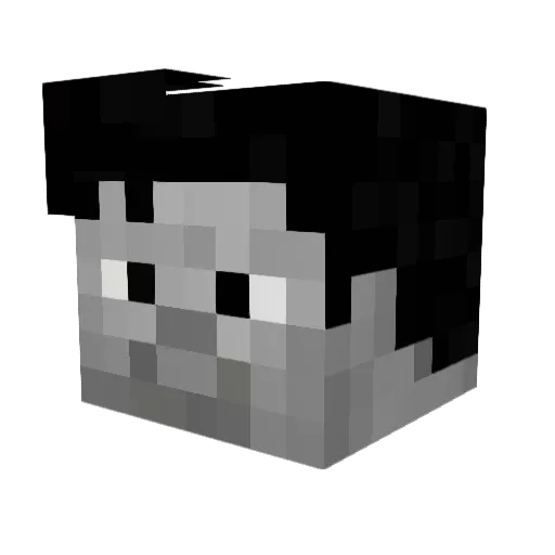 Barcode_Boy Minecraft avatar head, 3D render