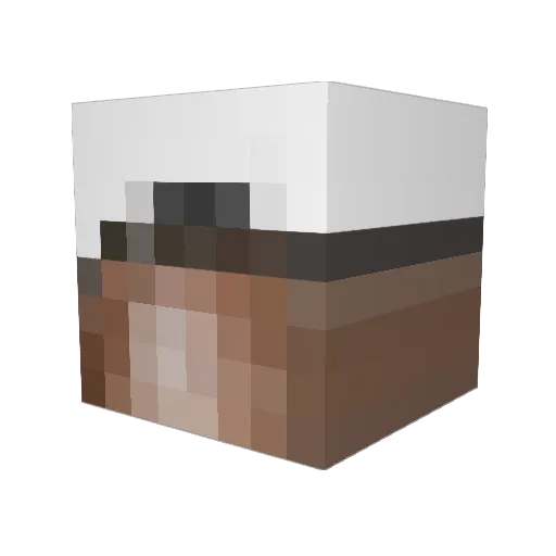 Barcola_ Minecraft avatar head, 3D render