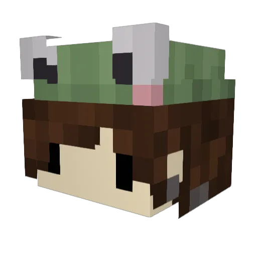 Barczek Minecraft avatar head, 3D render