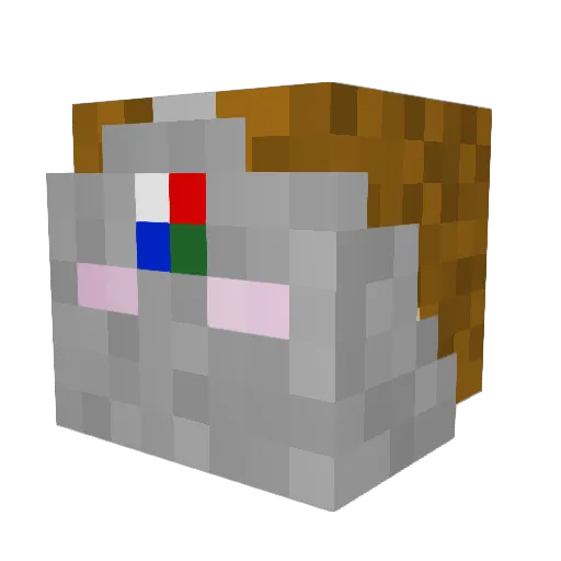 Bard1066 Minecraft avatar head, 3D render