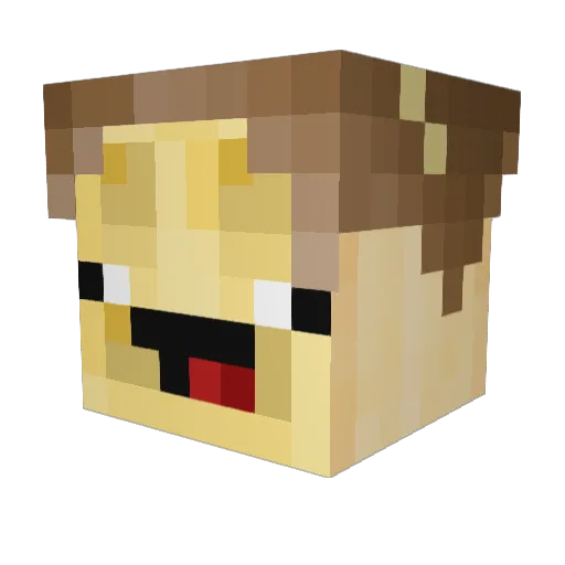 BardEnergy Minecraft avatar head, 3D render