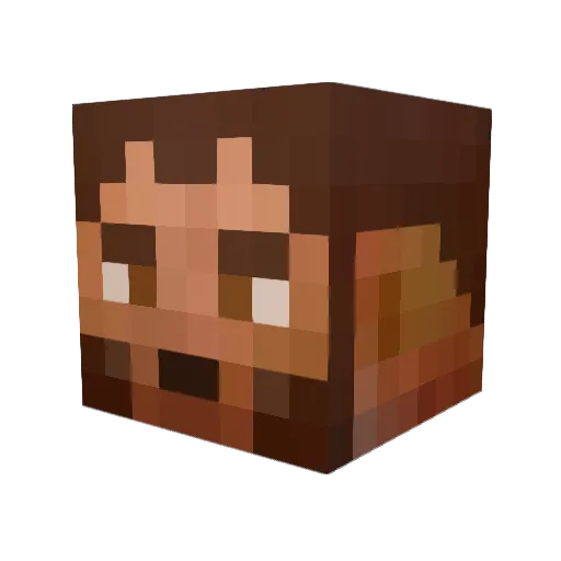 BardeLotus Minecraft avatar head, 3D render