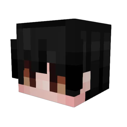 Bardly01 Minecraft avatar head, 3D render