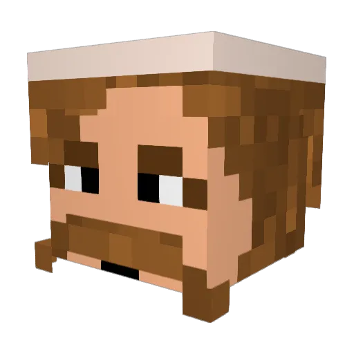 Bardock95 Minecraft avatar head, 3D render