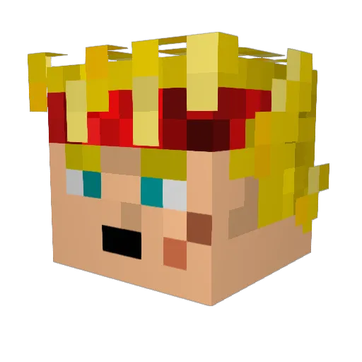 BardockDuBled Minecraft avatar head, 3D render
