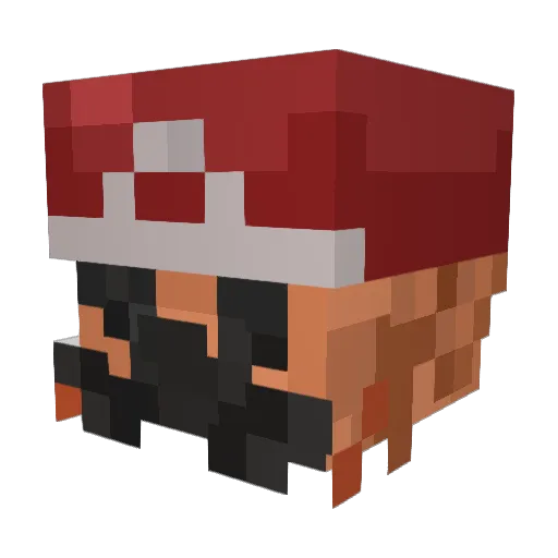 Bardoh Minecraft avatar head, 3D render