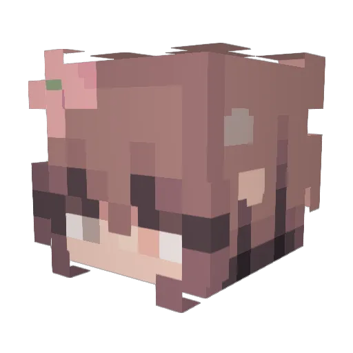 BardyBoiy Minecraft avatar head, 3D render