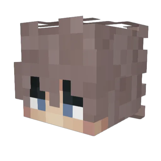 BareNugget_ Minecraft avatar head, 3D render