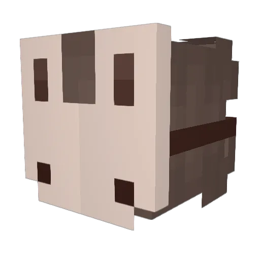 Barefoot_Phoenix Minecraft avatar head, 3D render