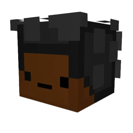 Bareleh Minecraft avatar head, 3D render