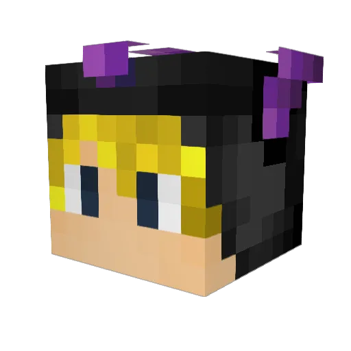 BarelyLikeable Minecraft avatar head, 3D render