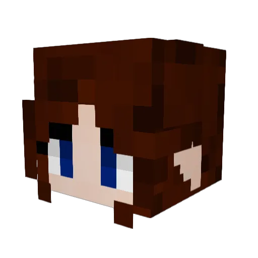 Baren14 Minecraft avatar head, 3D render