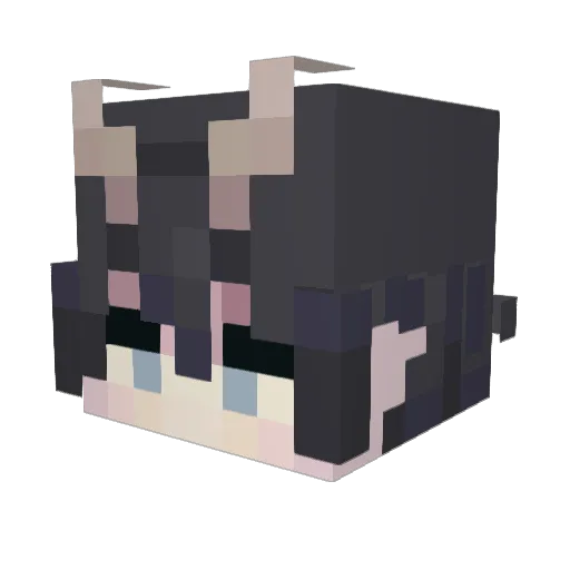 Barencaca Minecraft avatar head, 3D render