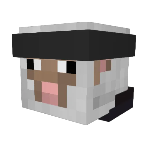 Barf_Bags Minecraft avatar head, 3D render