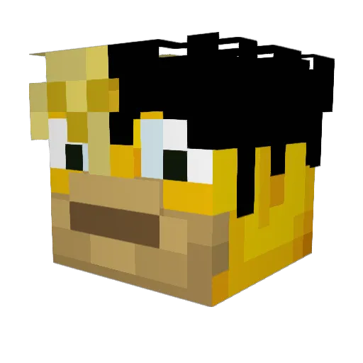 Bargainshpper21 Minecraft avatar head, 3D render