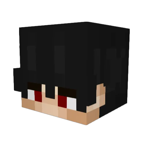 Bariiiiiiii Minecraft avatar head, 3D render