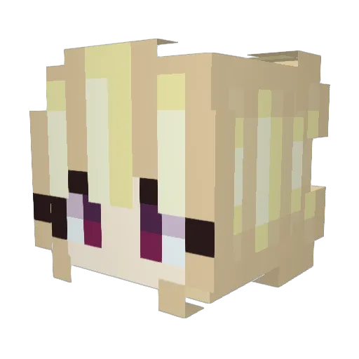 Baritols Minecraft avatar head, 3D render