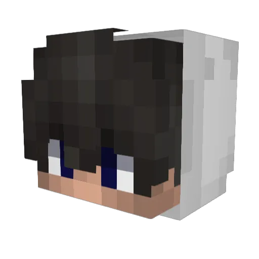 Bark111 Minecraft avatar head, 3D render