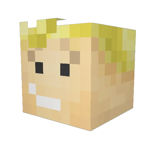 Bark4 Minecraft avatar head, 3D render