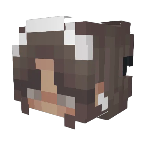 BarkForMeRuff Minecraft avatar head, 3D render
