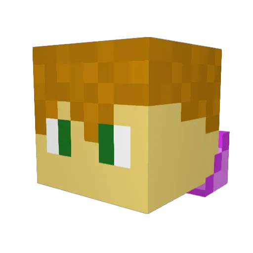 Barkemann Minecraft avatar head, 3D render