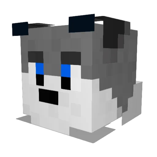 BarkerLadion Minecraft avatar head, 3D render