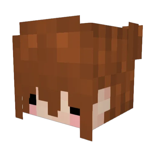 BarkingSpider84 Minecraft avatar head, 3D render