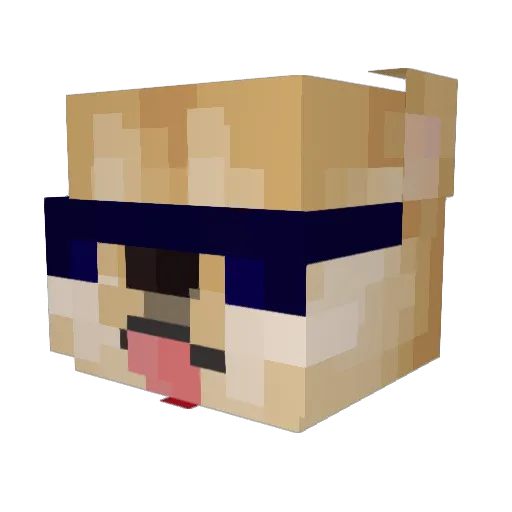BarkingWhale Minecraft avatar head, 3D render