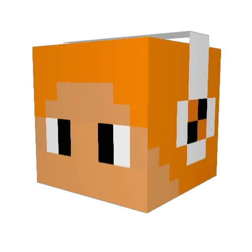 Barks13 Minecraft avatar head, 3D render