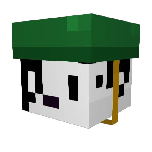 BarkyDoo Minecraft avatar head, 3D render