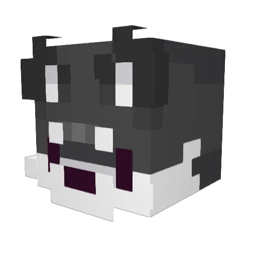 Barnabas_16 Minecraft avatar head, 3D render
