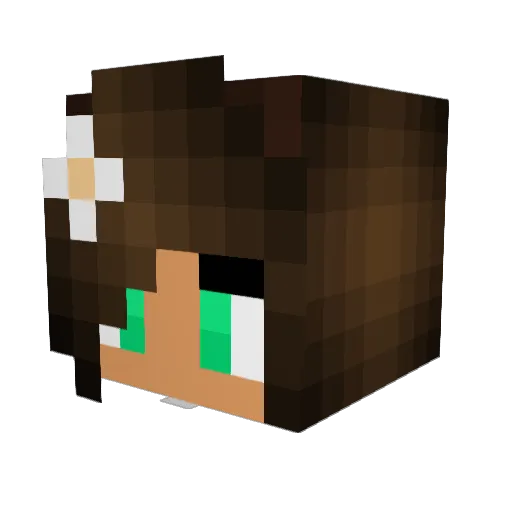 BarneySanders69 Minecraft avatar head, 3D render