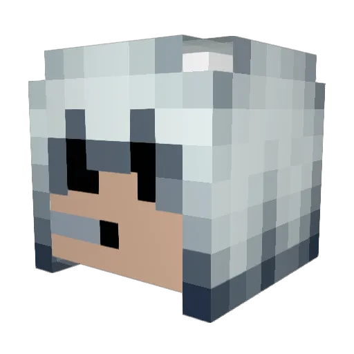 Barni54 Minecraft avatar head, 3D render