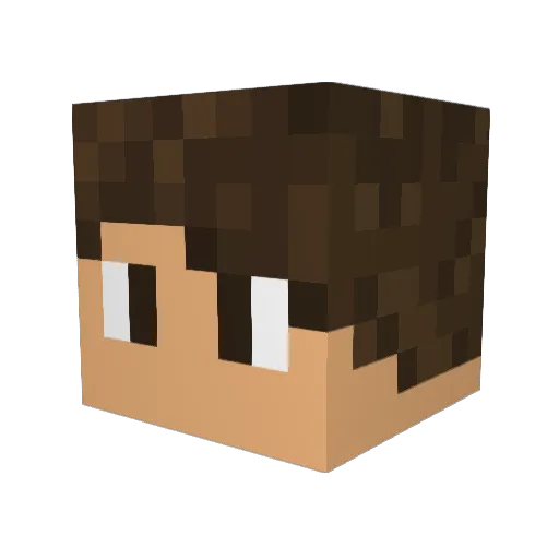 BarniBoy Minecraft avatar head, 3D render