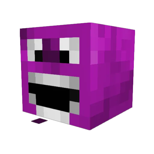 BarniFachero Minecraft avatar head, 3D render